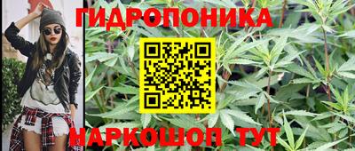 стаф Тверь